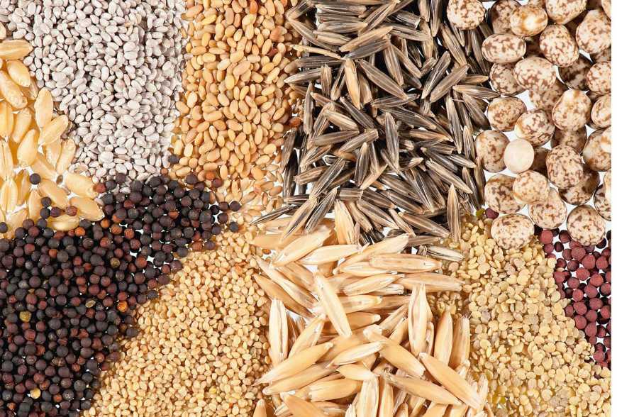 Cereals and legumes